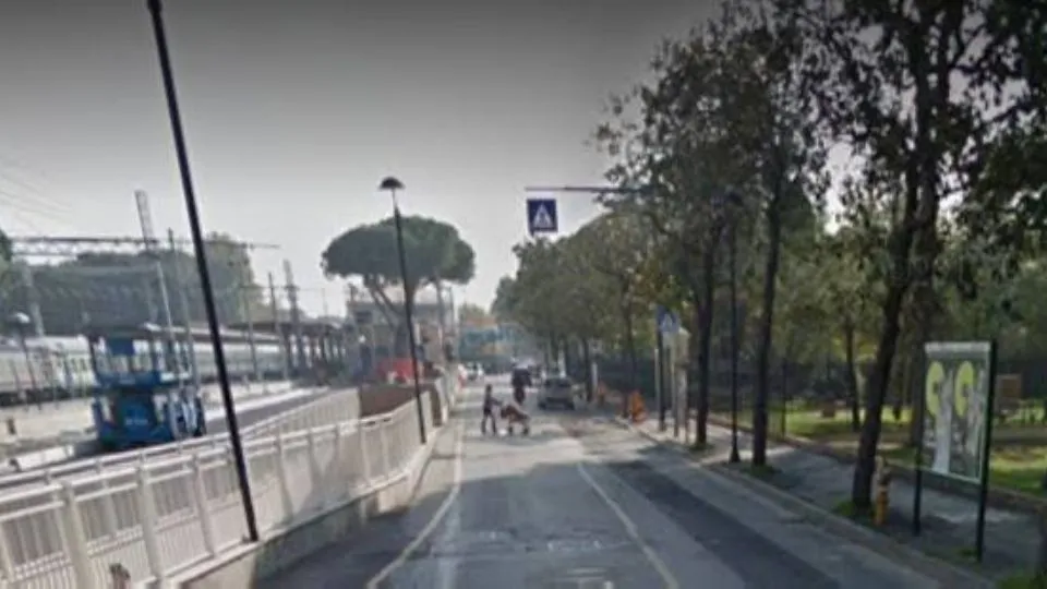 viale delle Magnolie
