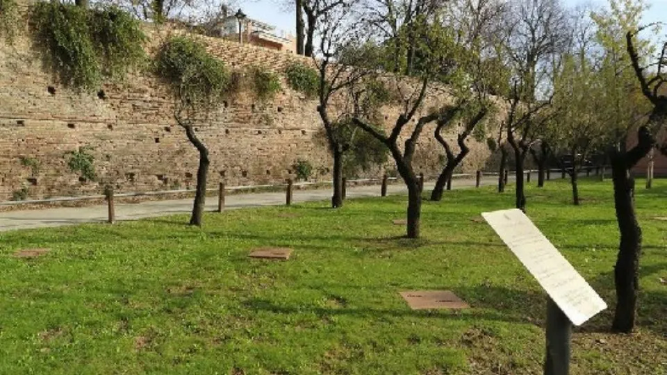il parco in memoria