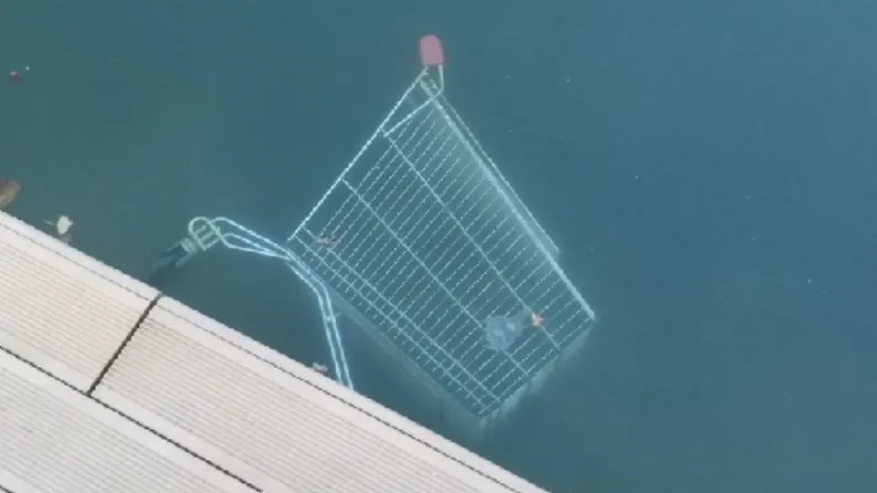 un carrello in acqua