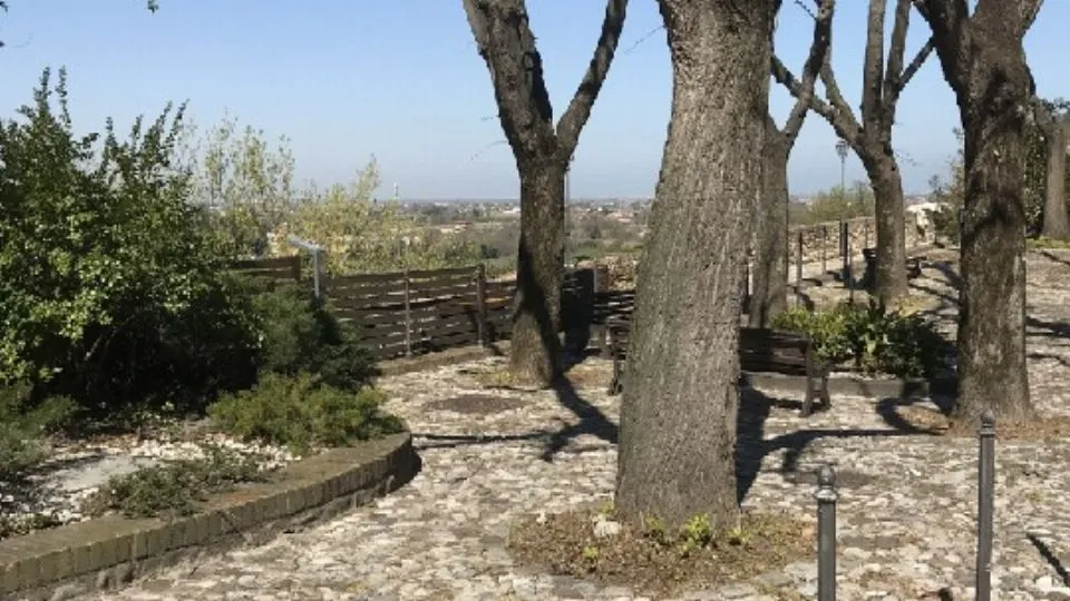 il Belvedere