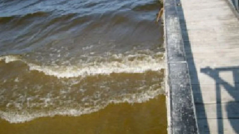 La particolare colorazione conferita al mare dalla microalga