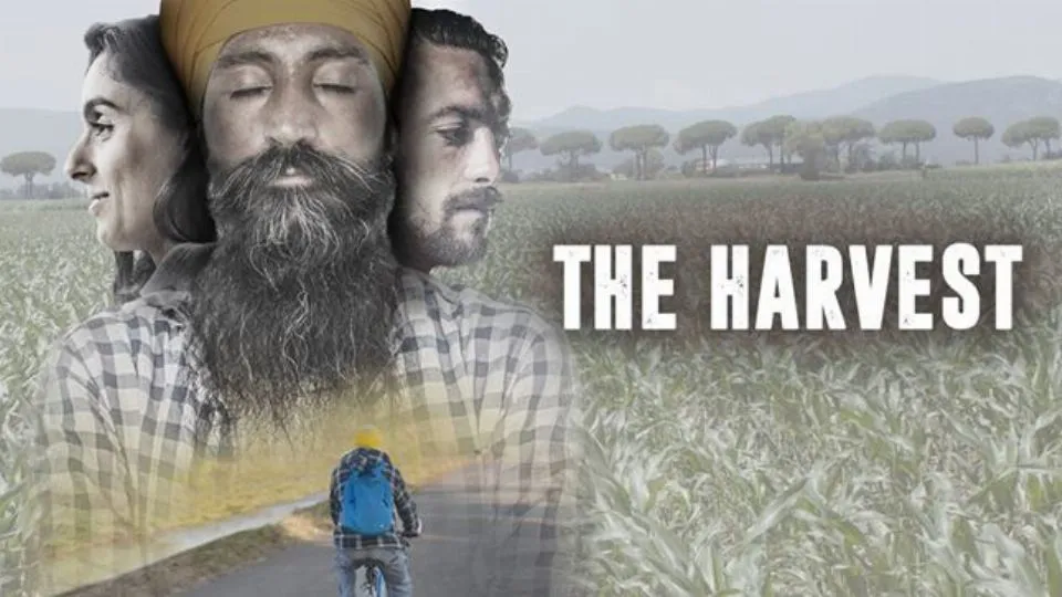 la copertina di The Harvest