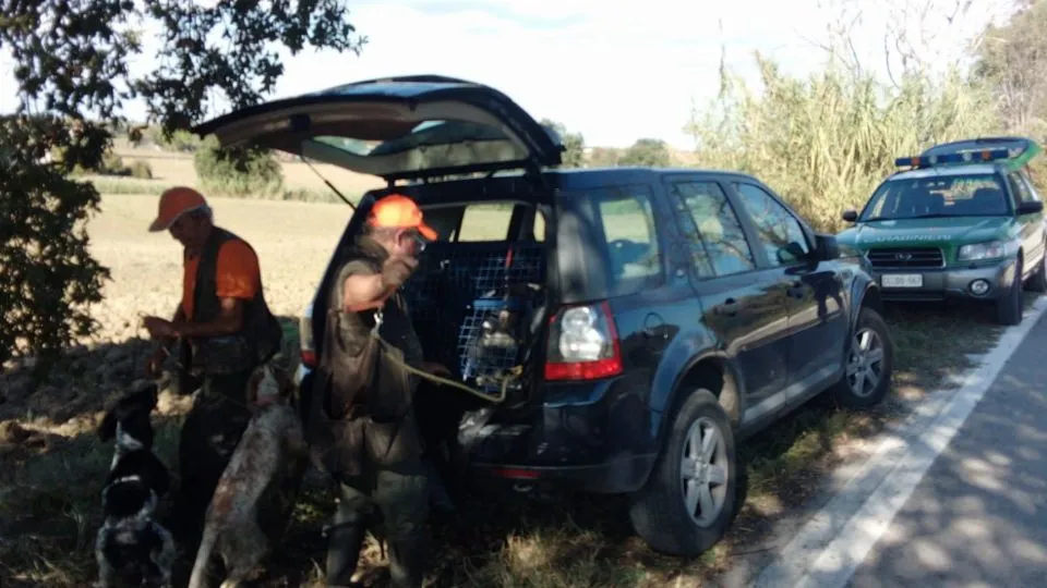 i controlli dei carabinieri forestali
