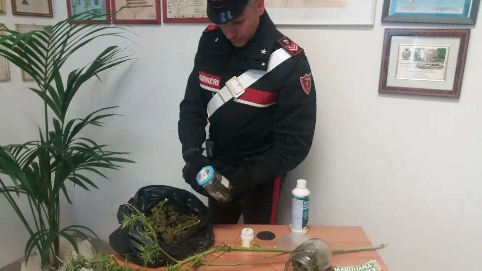 la marijuana sequestrata dall’abitazione a Corpolò