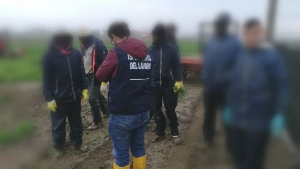 Alcuni controlli dell'Ispettorato (repertorio)