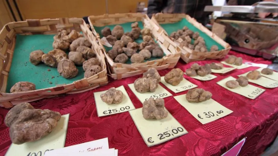 Tartufi a sant’agata feltria