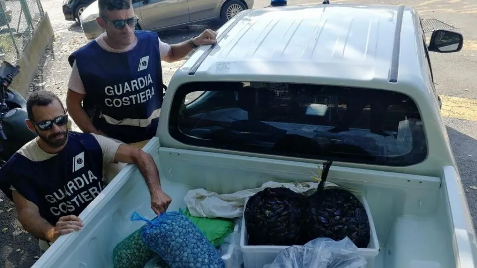 i controlli della Capitaneria: 200 kg di prodotto sequestrati