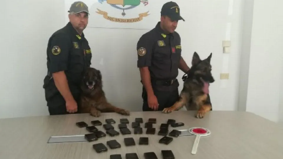 la droga sequestrata
