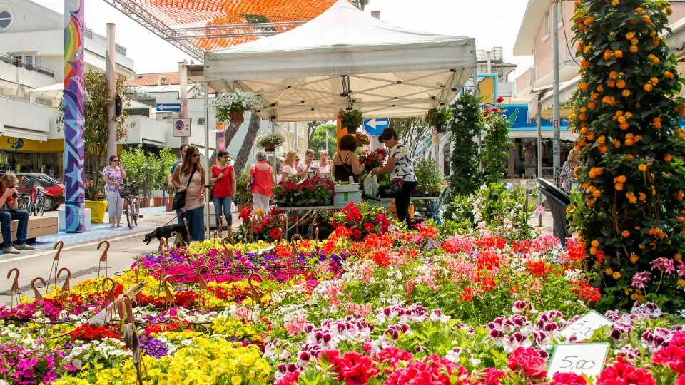 fiori in esposizione