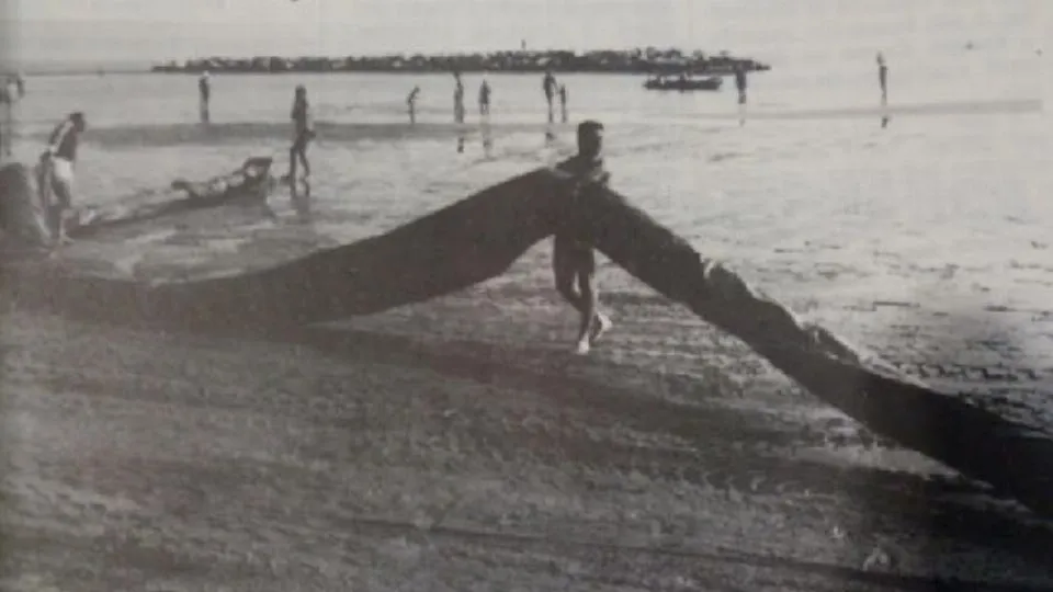 barriere antimucillagini (archivio Il Ponte)