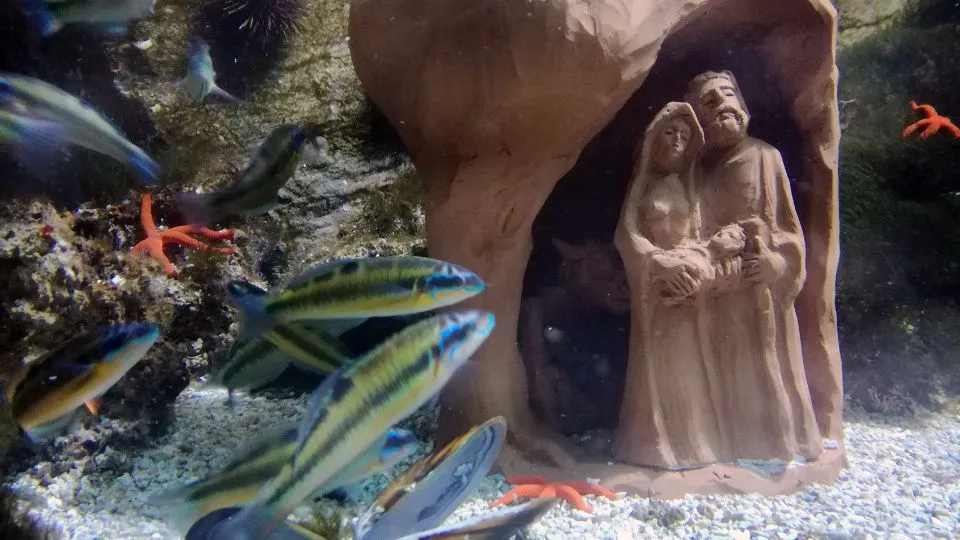 un presepe nell’acquario