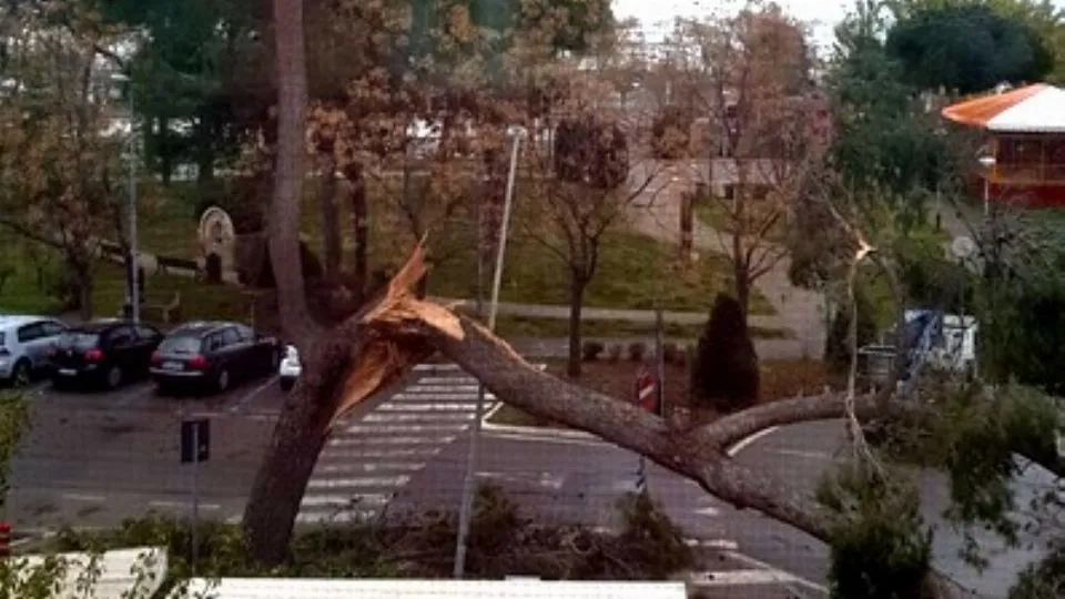 Viale Giardini a Riccione

