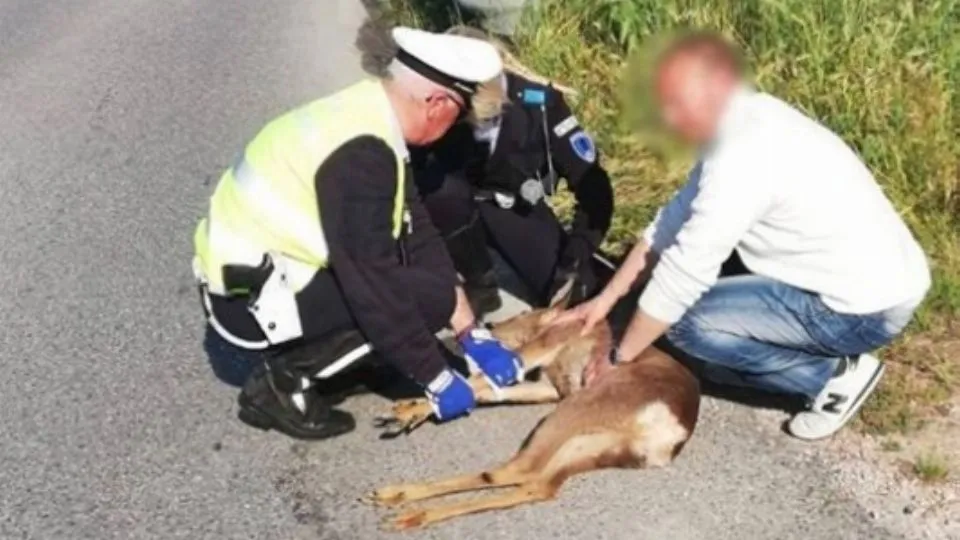 foto Polizia Locale
