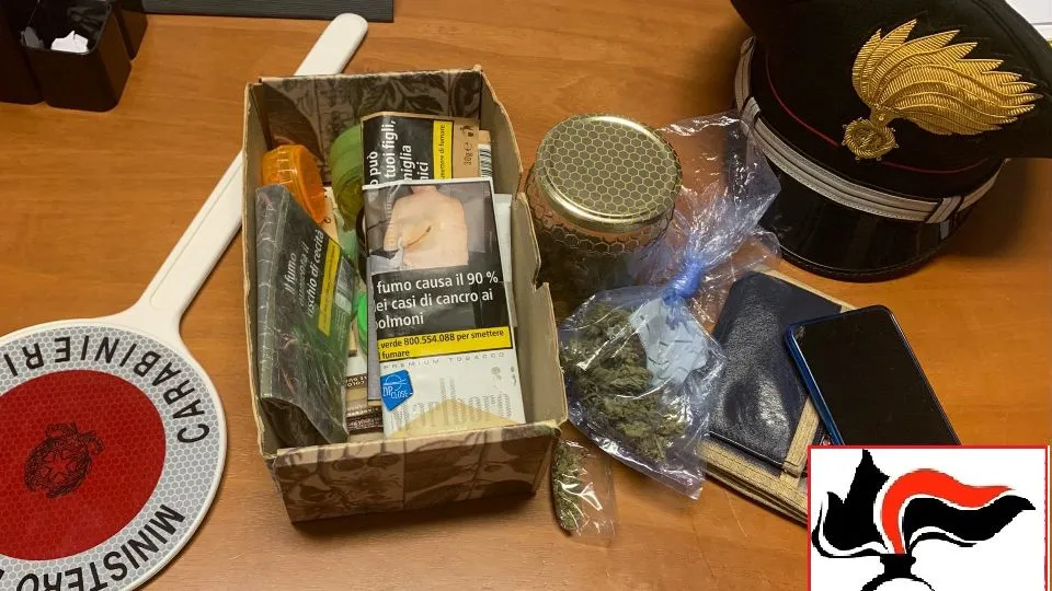 la marijuana sequestrata 
