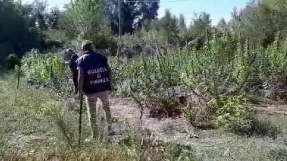 l’area sequestrata