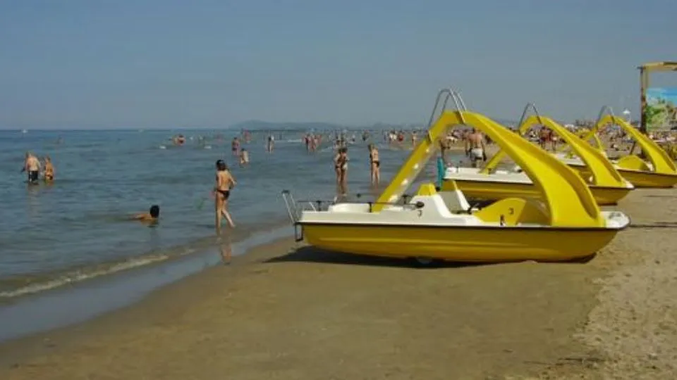 mosconi sulla spiaggia