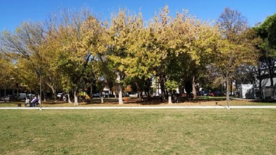 il parco