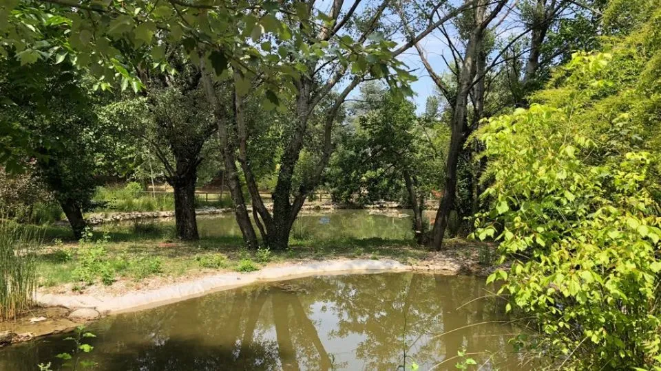 uno dei laghetti del Parco della Resistenza