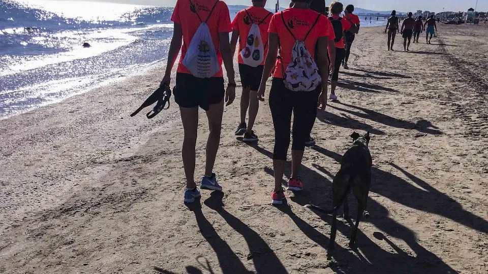 la passeggiata in spiaggia (ph Giorgio Salvatori)
