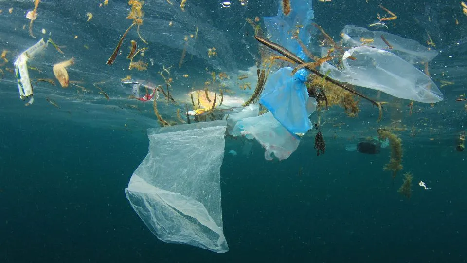 la plastica in mare