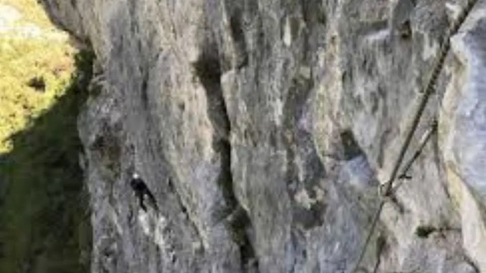 repertorio