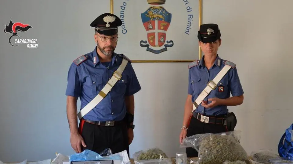 la marijuana e i soldi sequestrati dai carabinieri