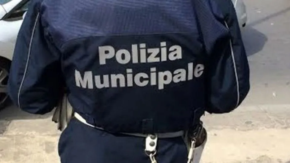 repertorio