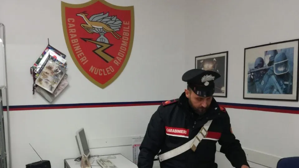 Una parte della marijuana sequestrata a Bellariva

