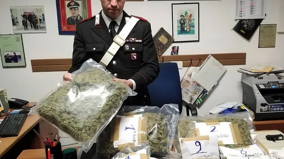 droga e denaro sequestrati a Torre Pedrera
