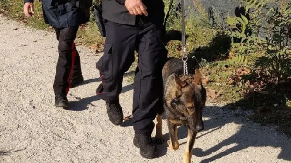 l’unità cinofila