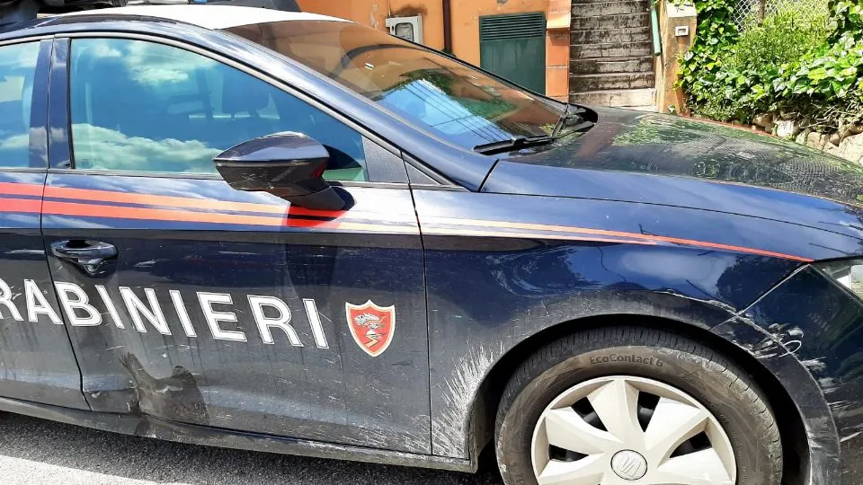 la gazzella speronata @Newsrimini