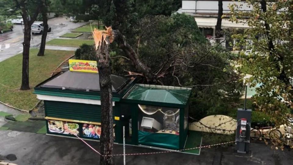 viale dei Giardini a Riccione
