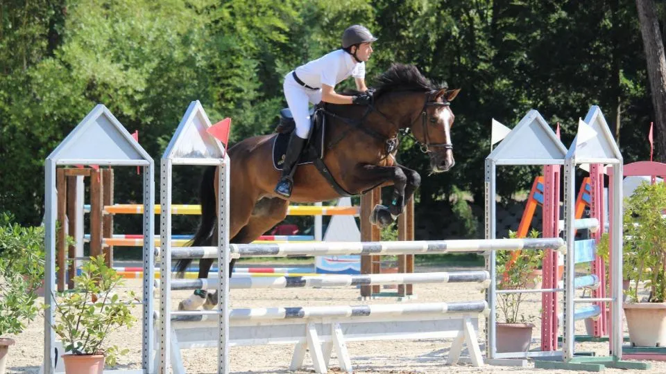 Luca Rosei su Qubeck
