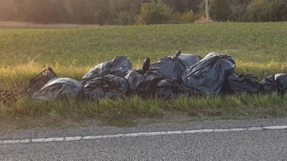 rifiuti abbandonati