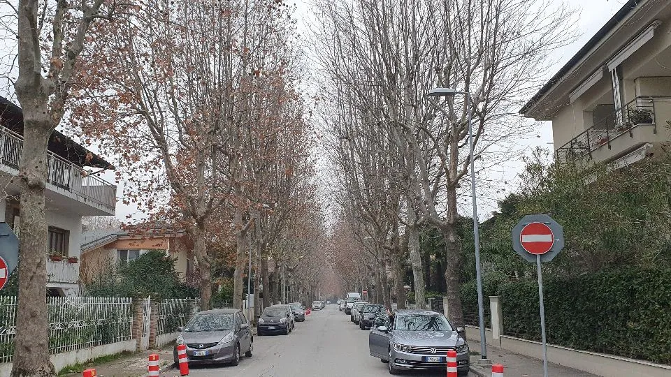 viale Ferrara
