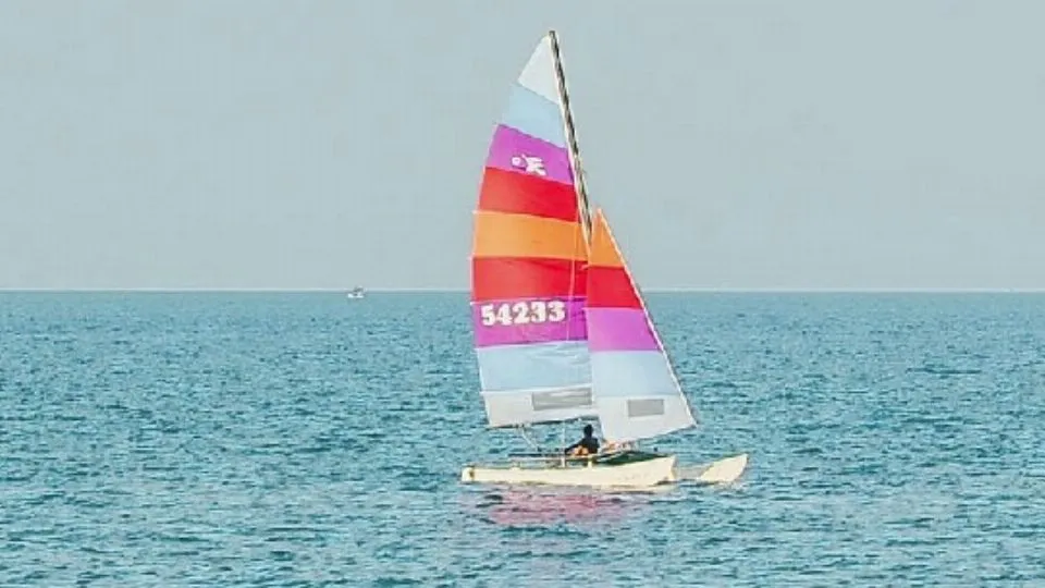 repertorio