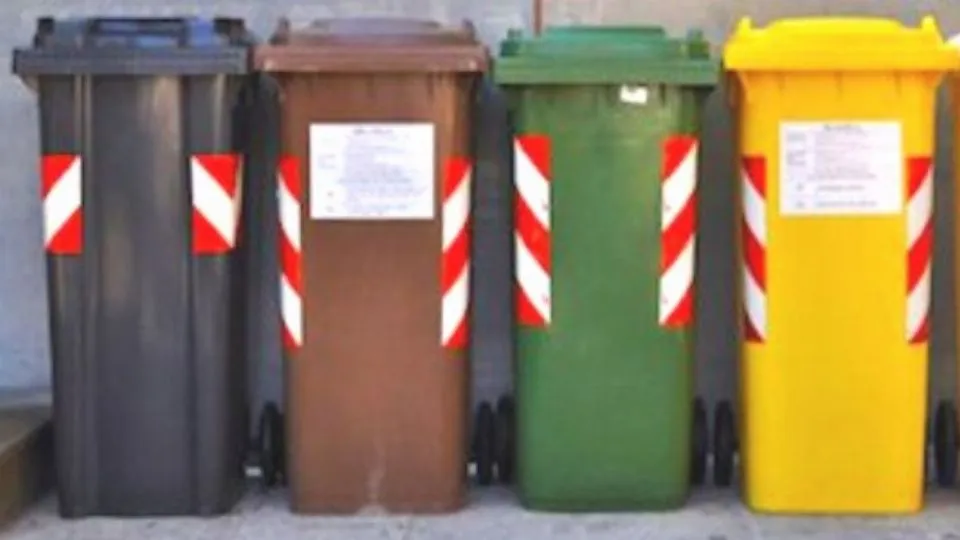 repertorio
