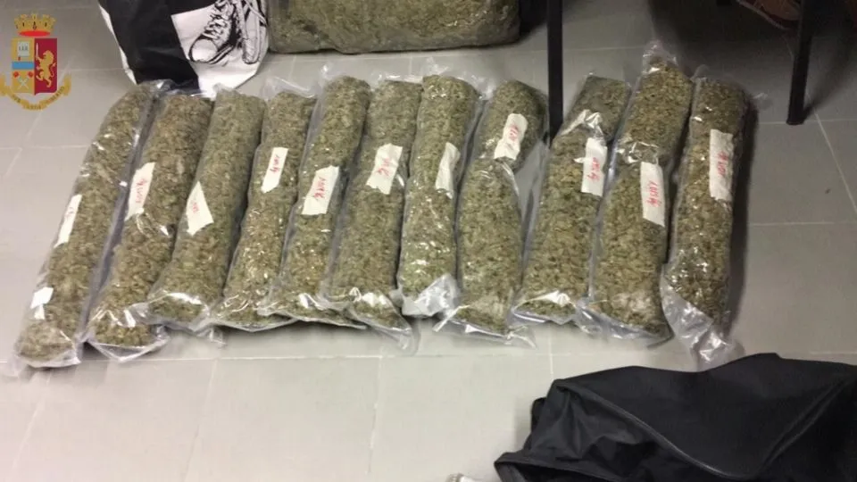 parte della marijuana imbustata sottovuoto e trovata in casa
