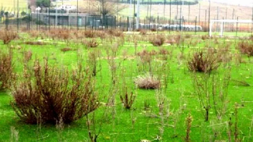 quel che resta del Football Village dell’area Ghigi
