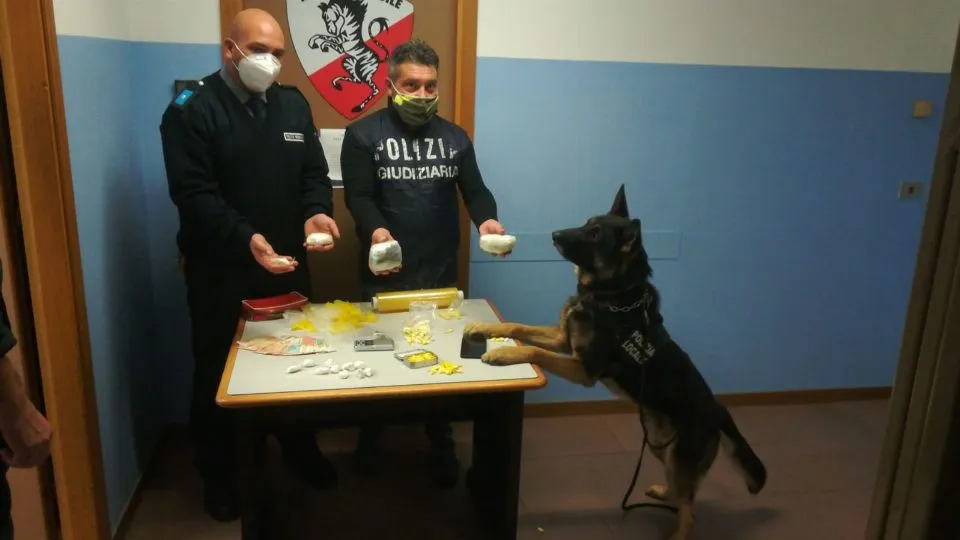 gli investigatori di polizia giudiziaria mostrano la droga