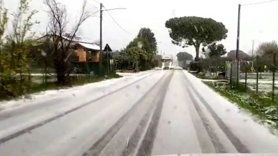repertorio