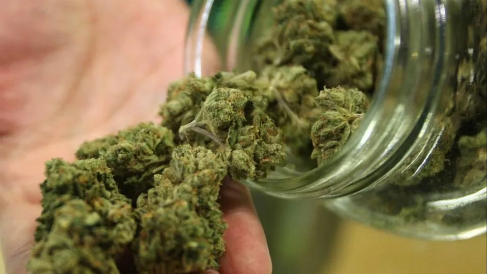 marijuana (repertorio)