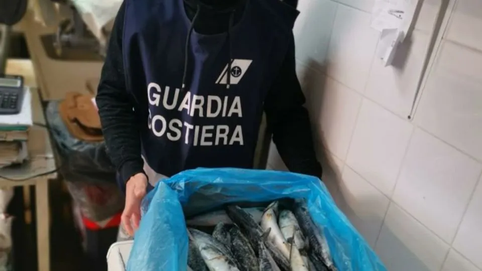 pesce sequestrato dalla Capitaneria