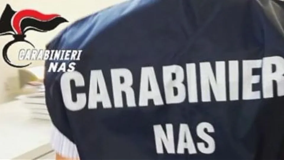carabinieri nas
