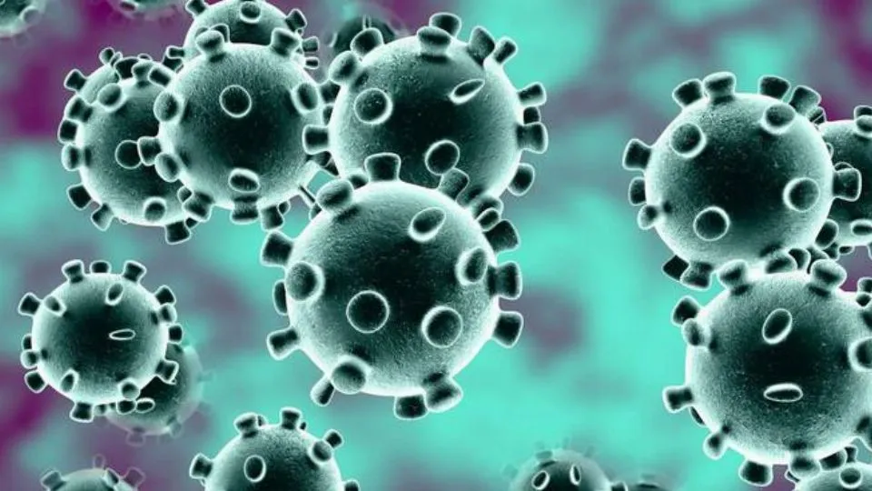 il coronavirus
