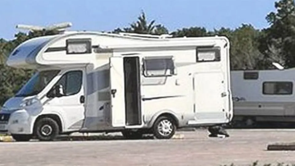 repertorio
