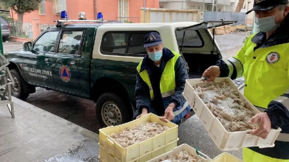 il pesce donato