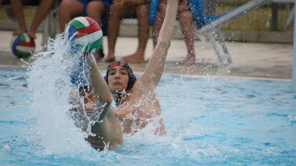 Nicola Lazzari