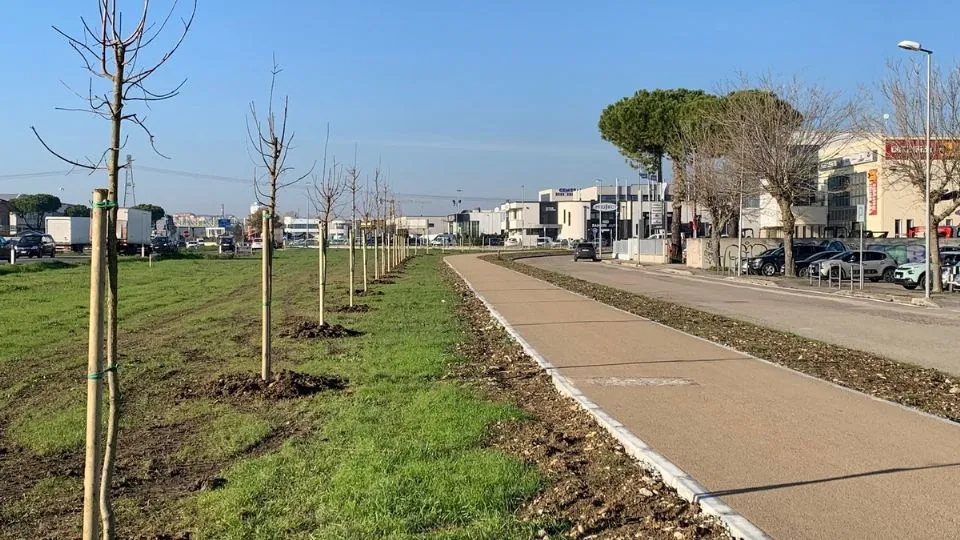 la ciclabile
