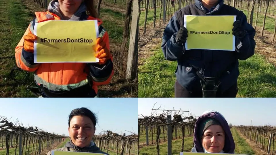 immagine tratta dal video di legacoop Romagna
